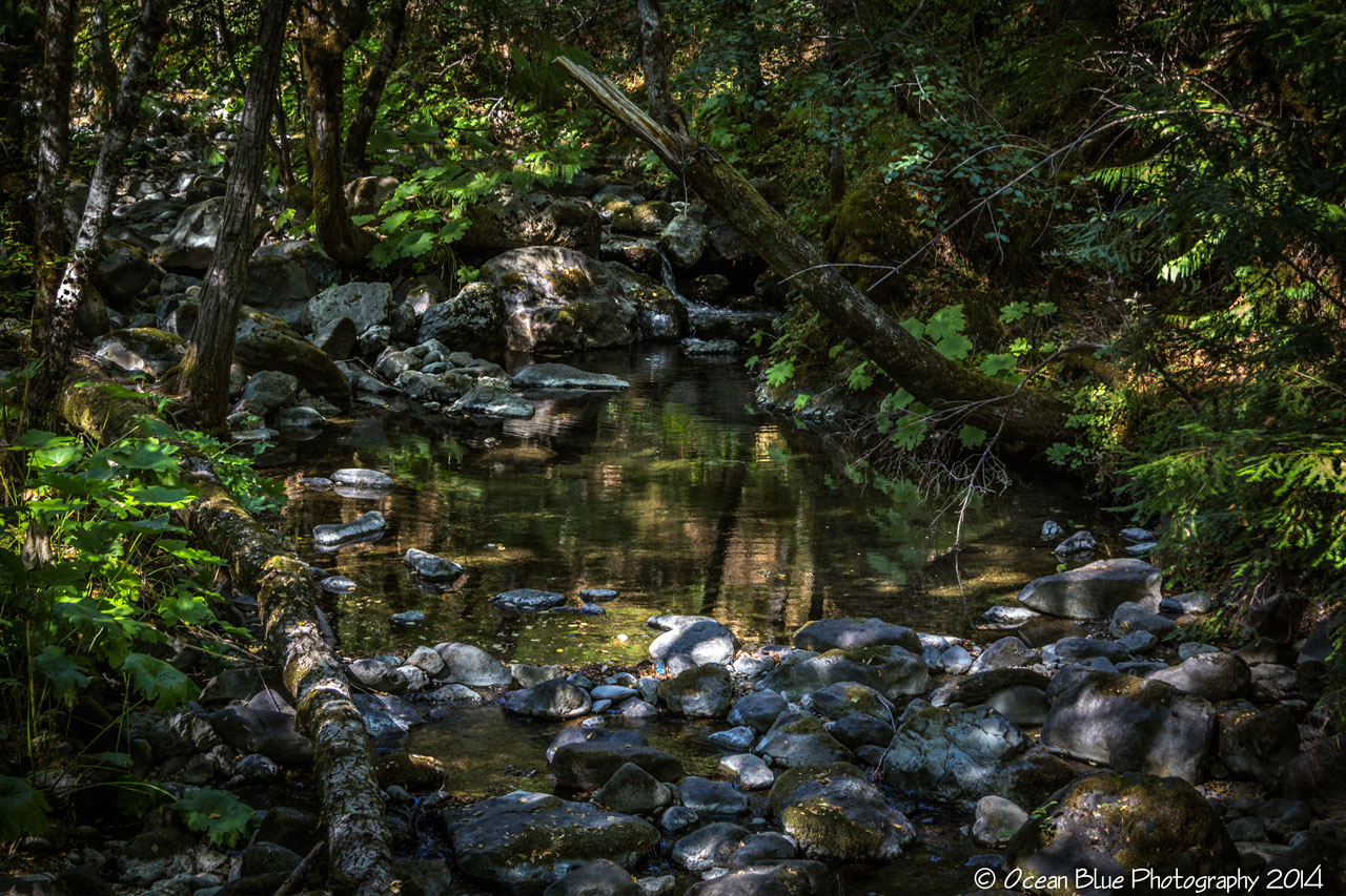 Sixmile CR