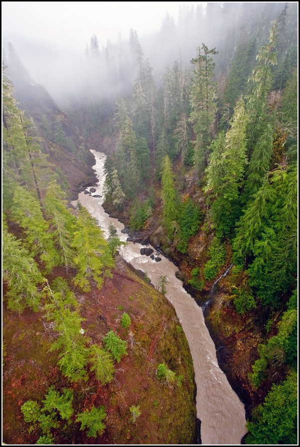 Skokomish River from High Steel Bridge