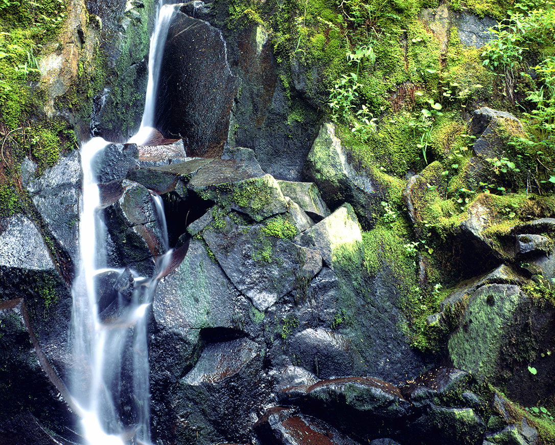 Small Fall (from 4x5)