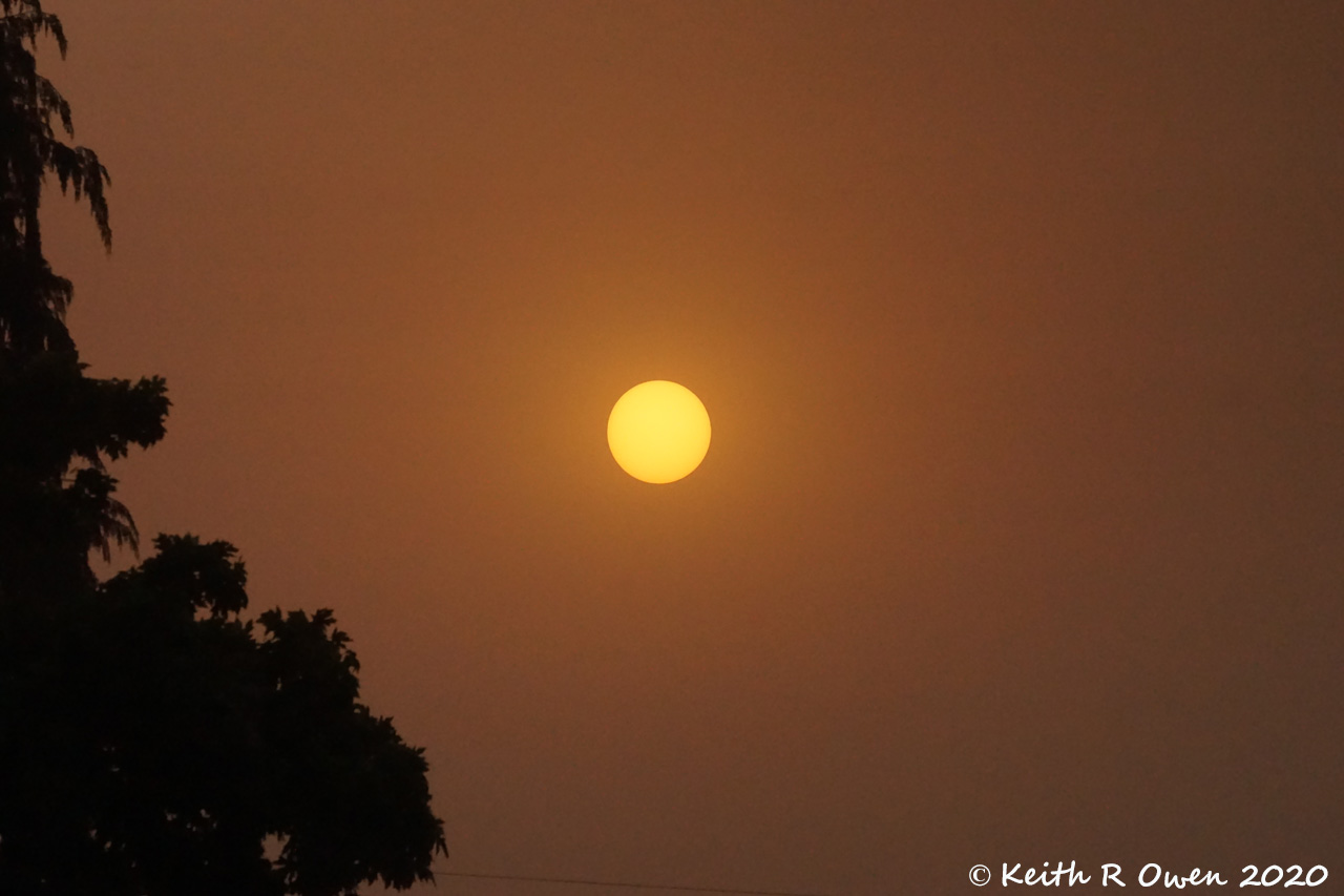 Smokey Sunset