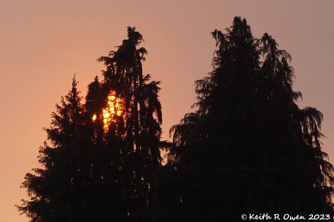 Smoky Sunset