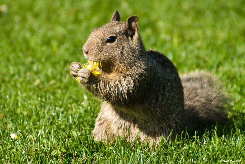 Snack Time
