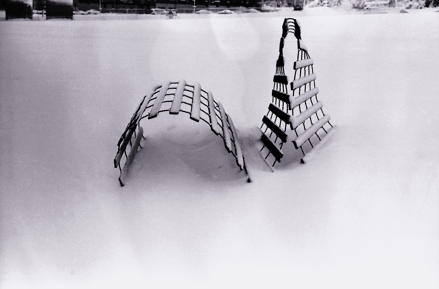 Snow in Central Park