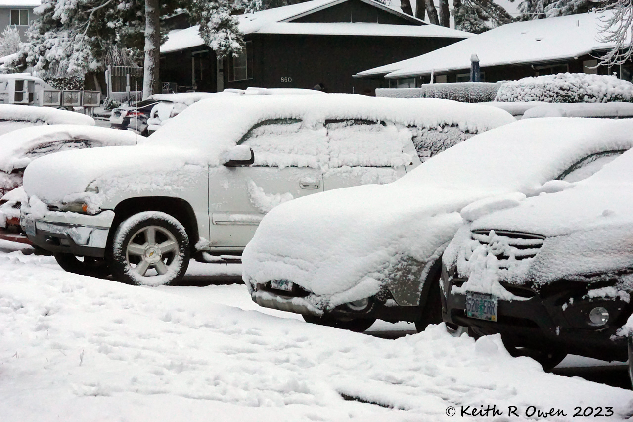 Snow Storm