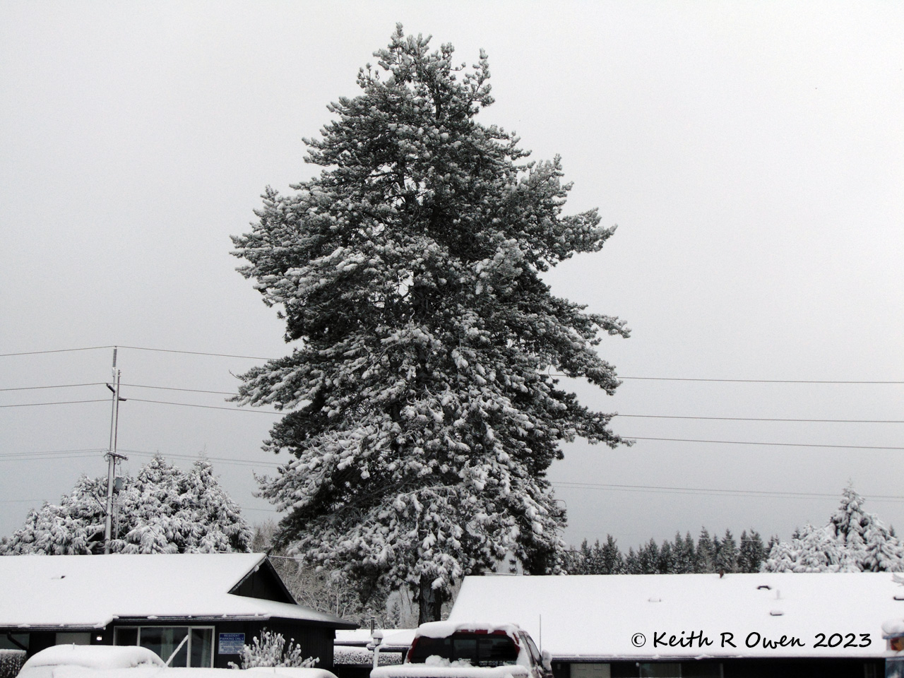 Snow Storm