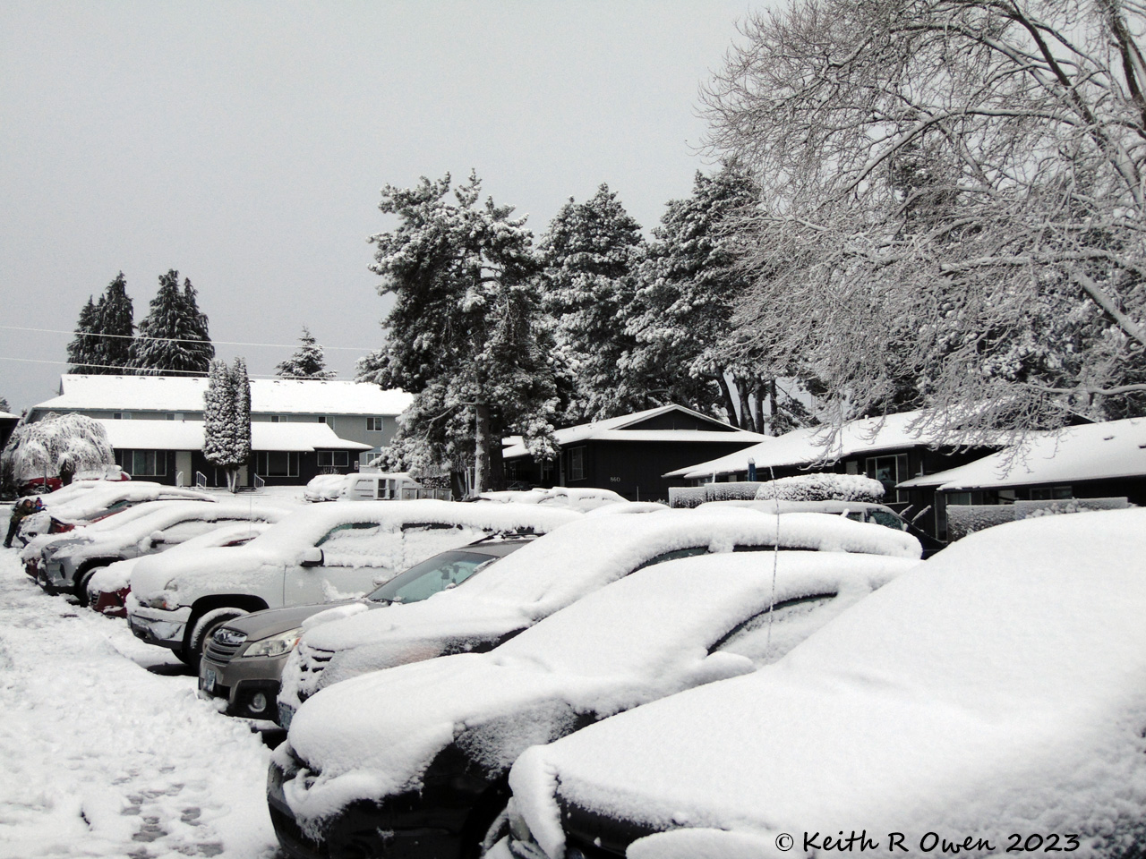 Snow Storm