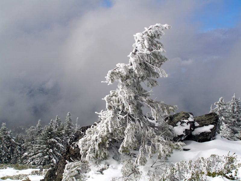 Snow