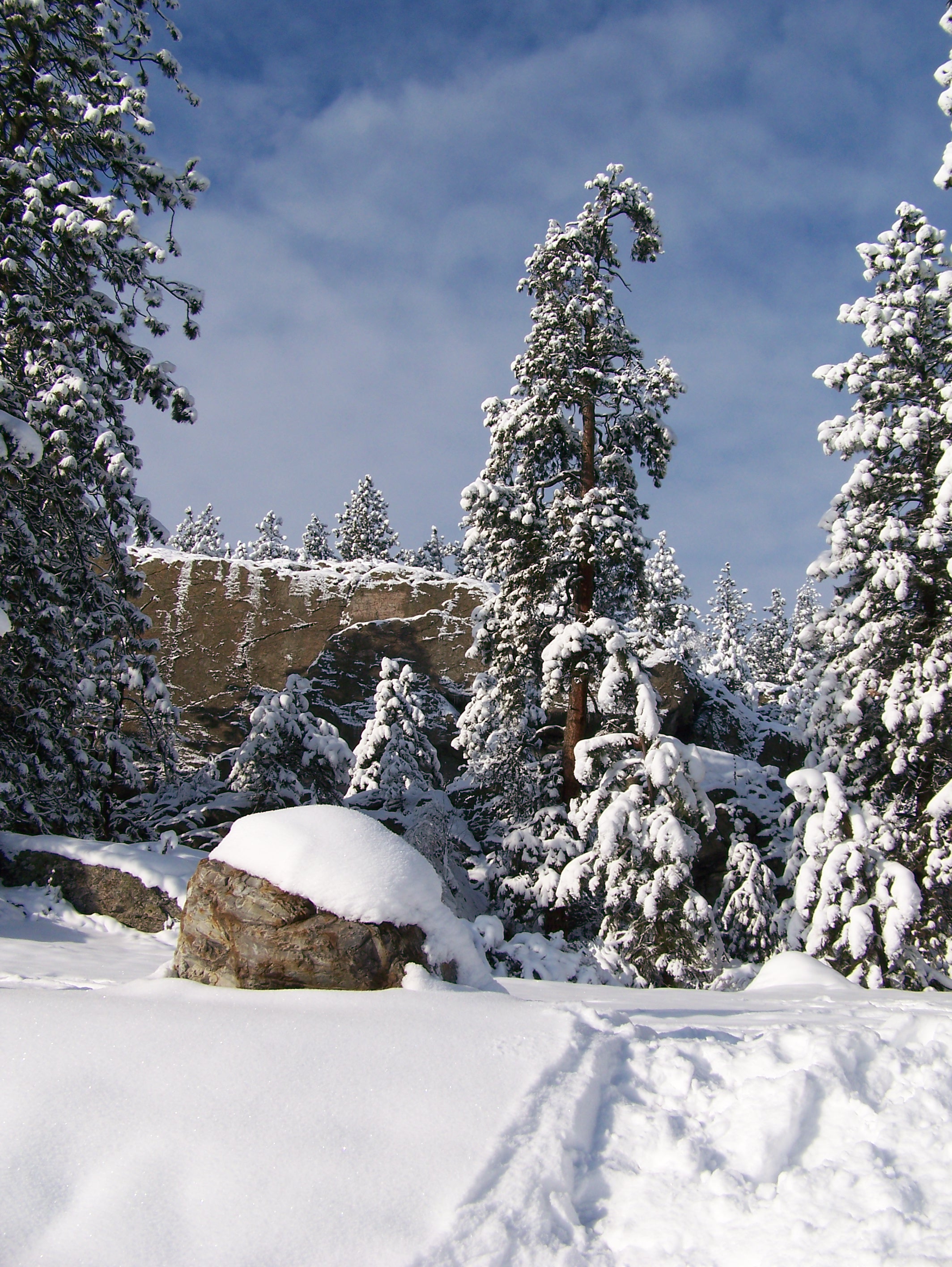Snow