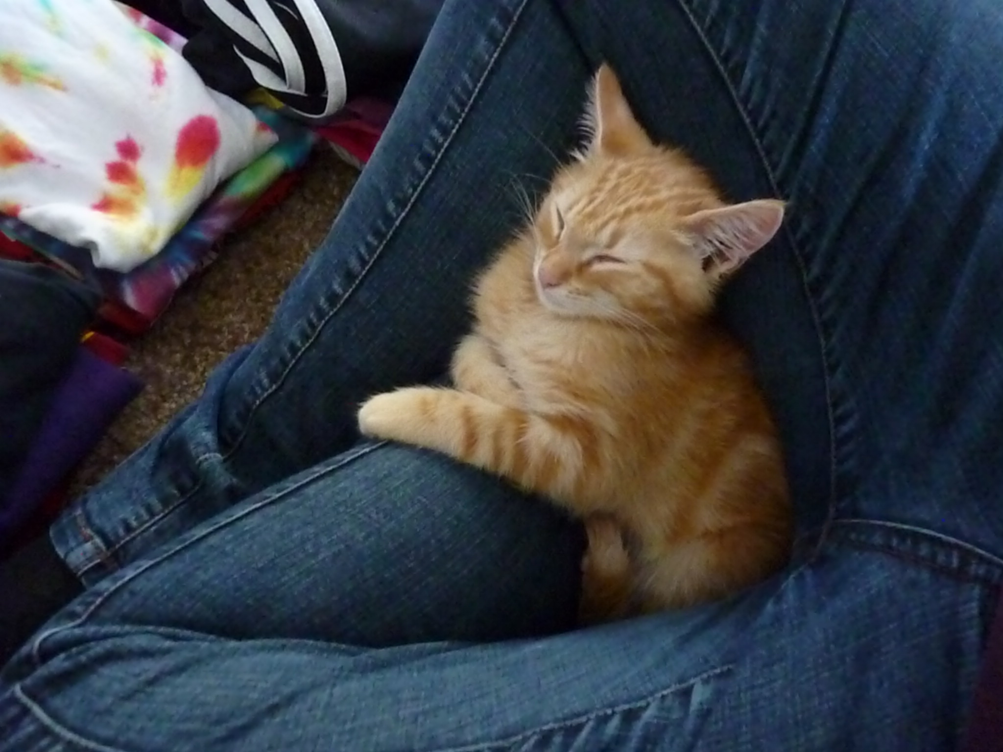 So Tiny