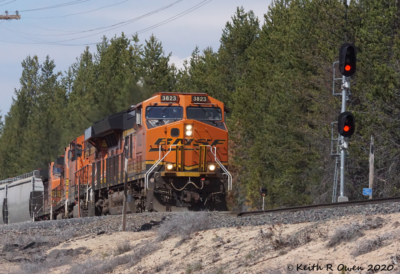 Southbound Grain Train
