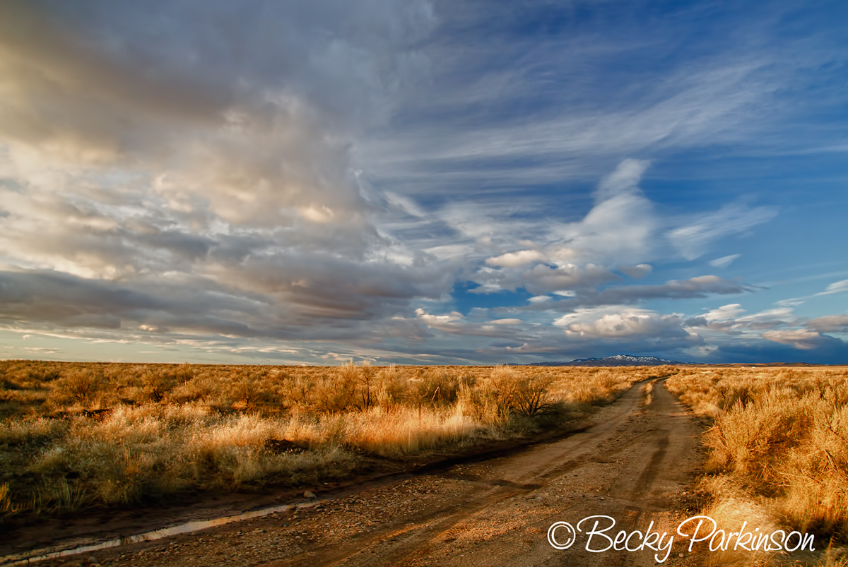 Southern Idaho Desert