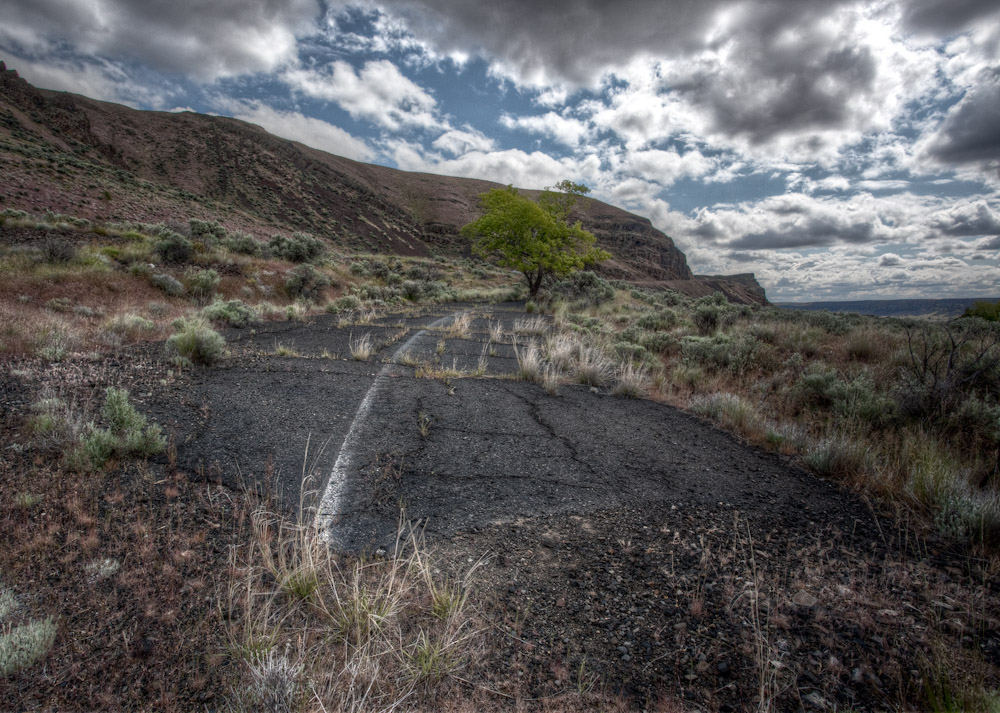 Speed Bumps