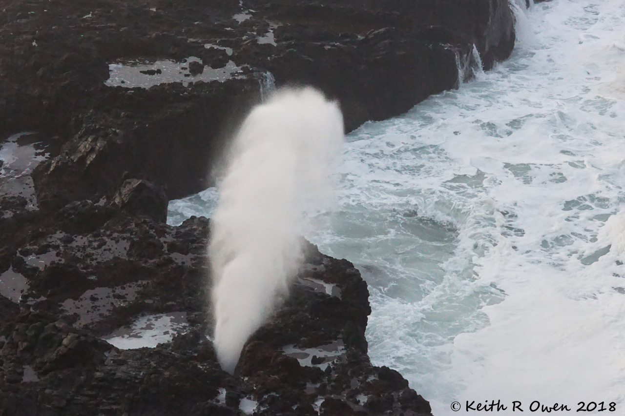 Spouting Horn