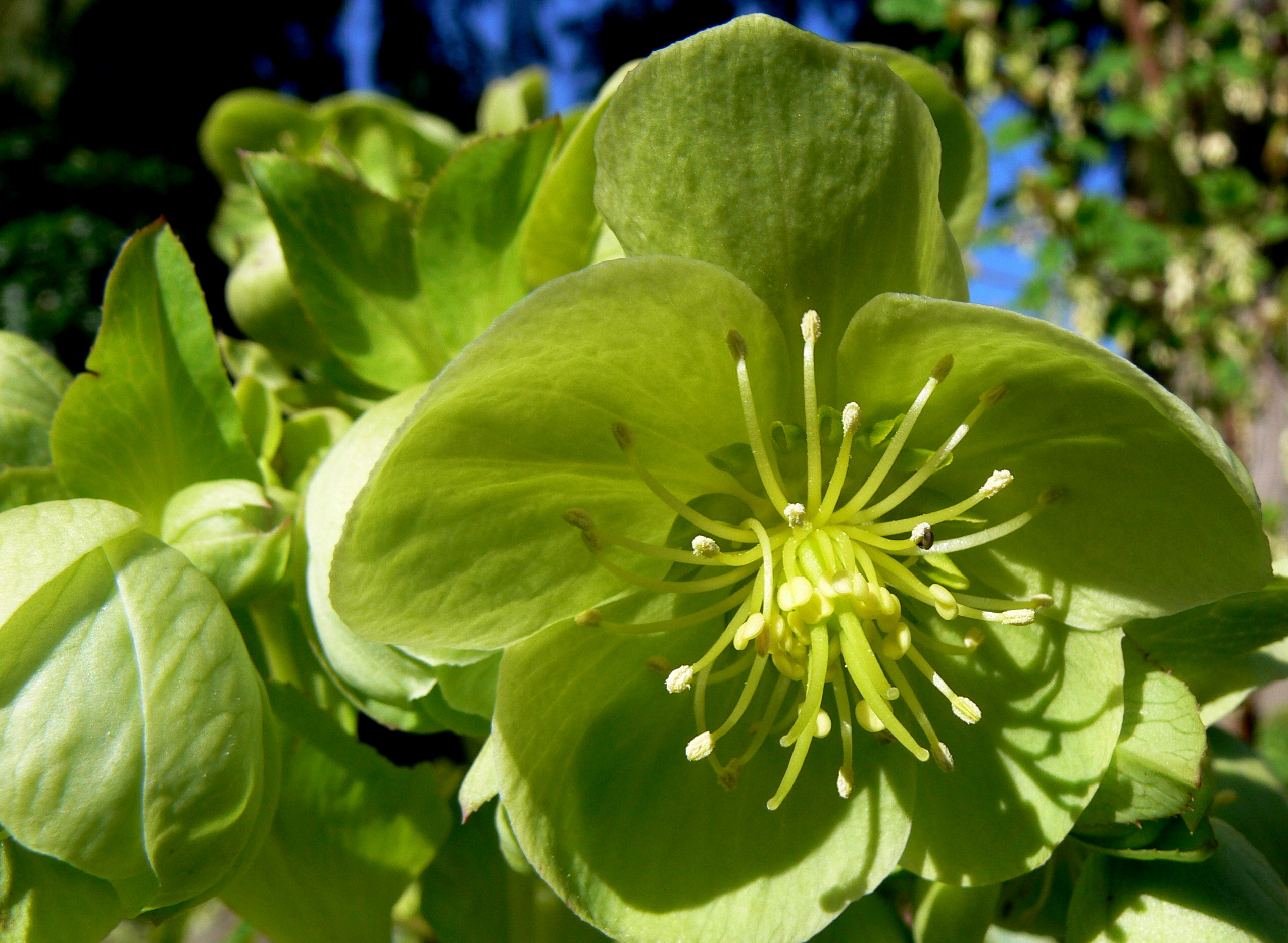 spring 2011