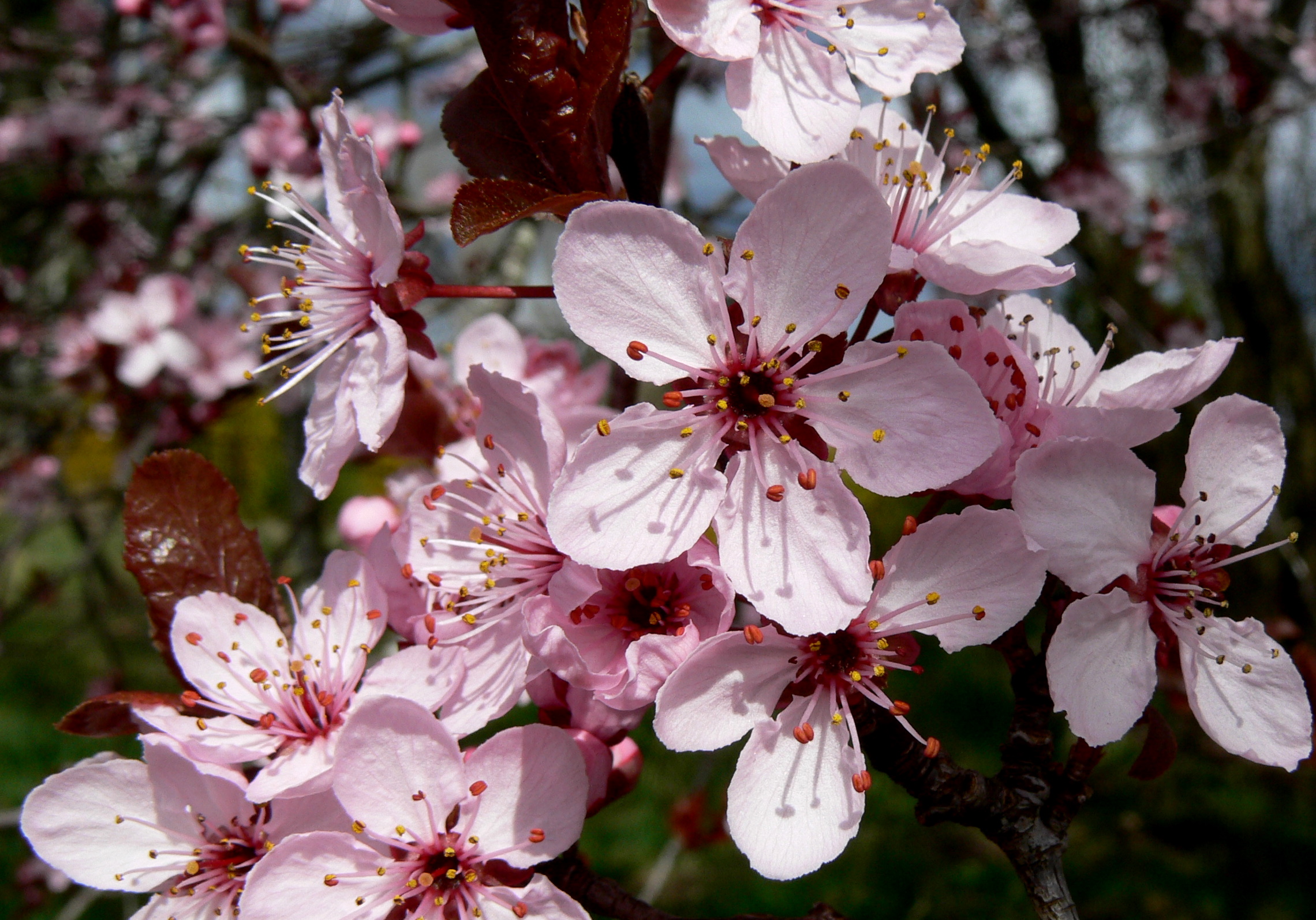 spring 2011