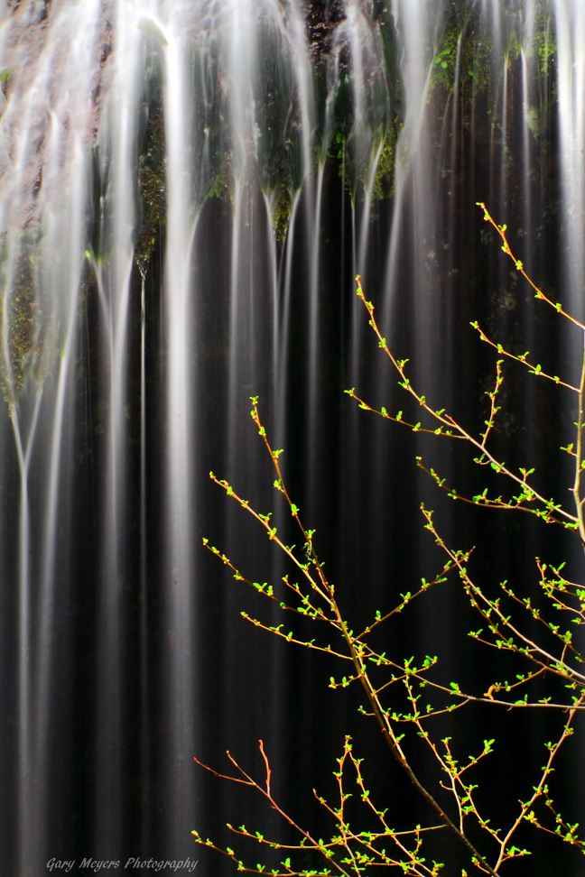 Spring at Panther creek falls
