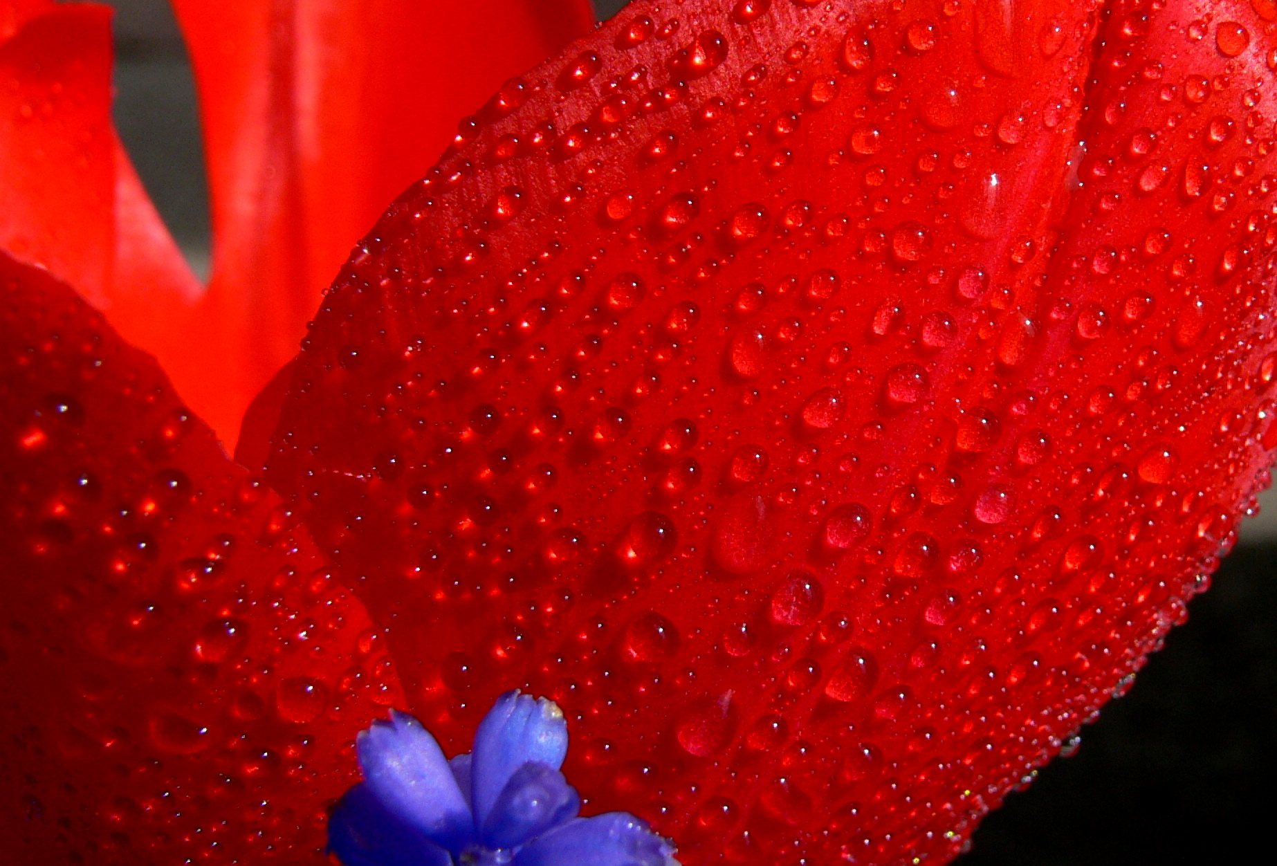 spring!