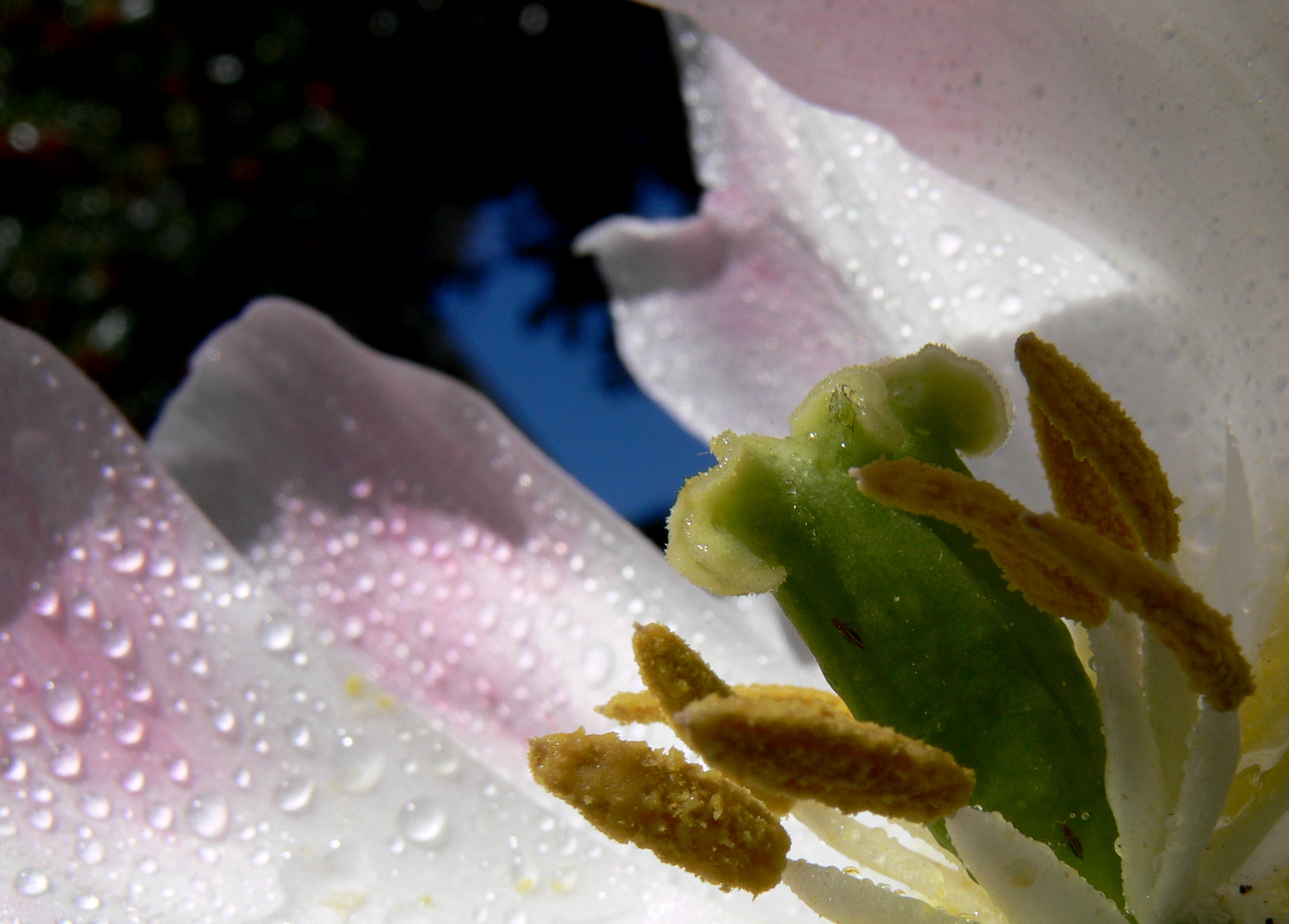 spring!