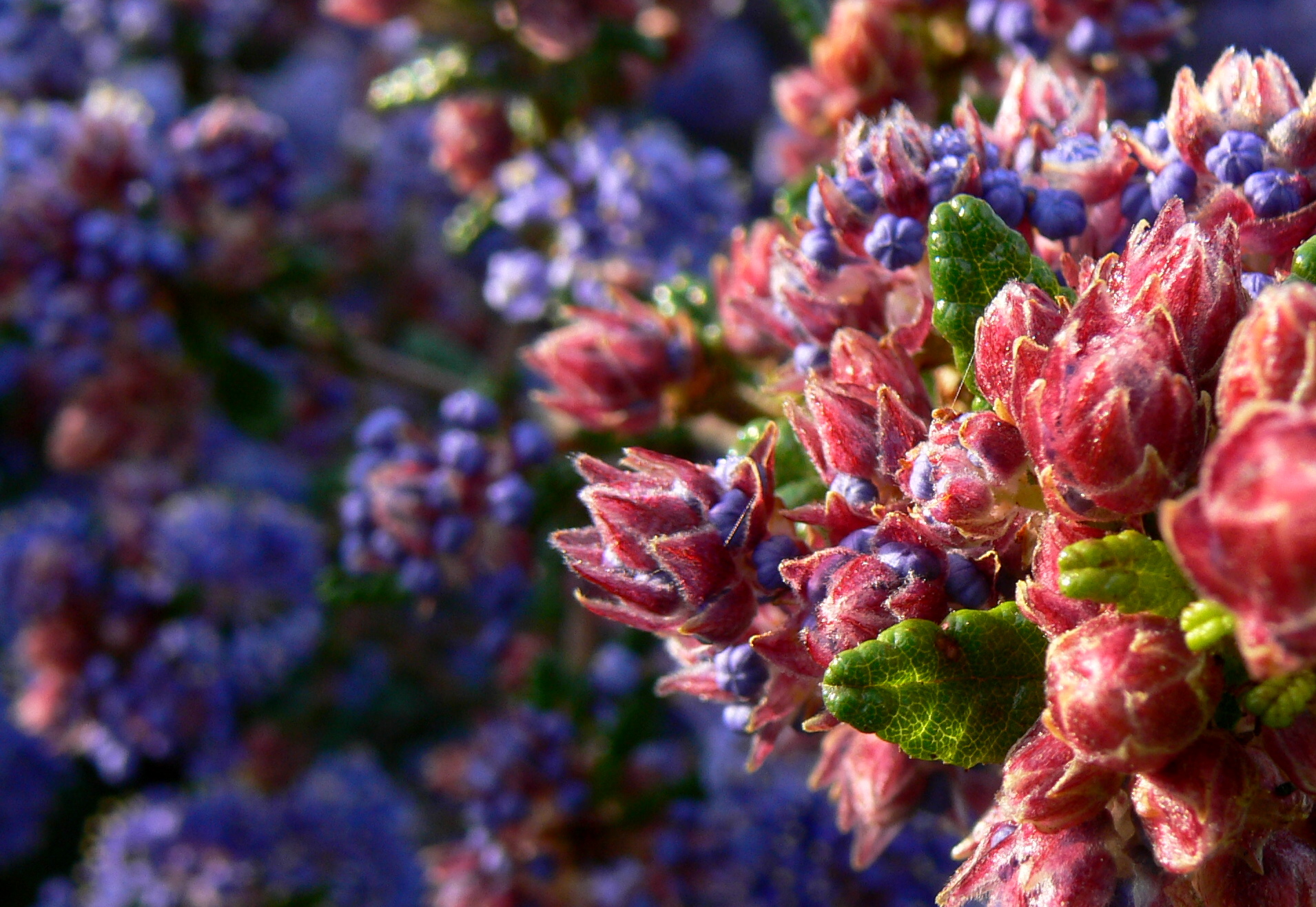 spring!