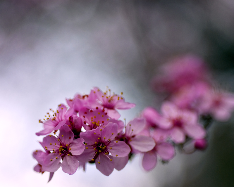 Spring!