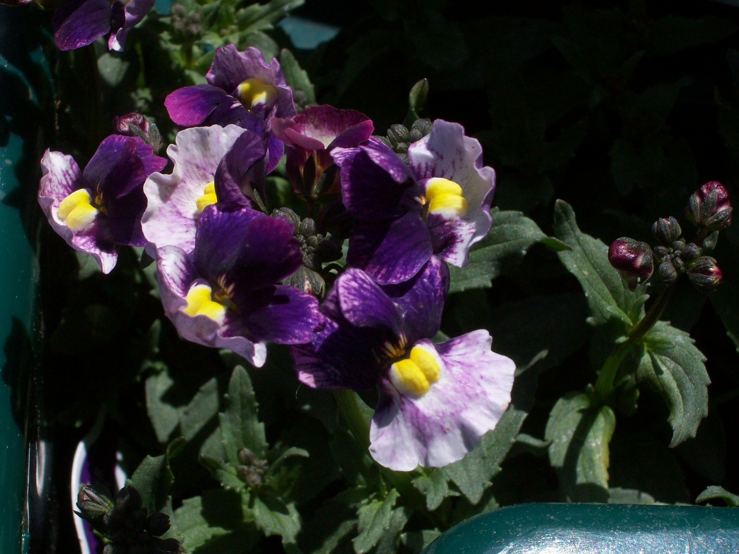 spring_09_128