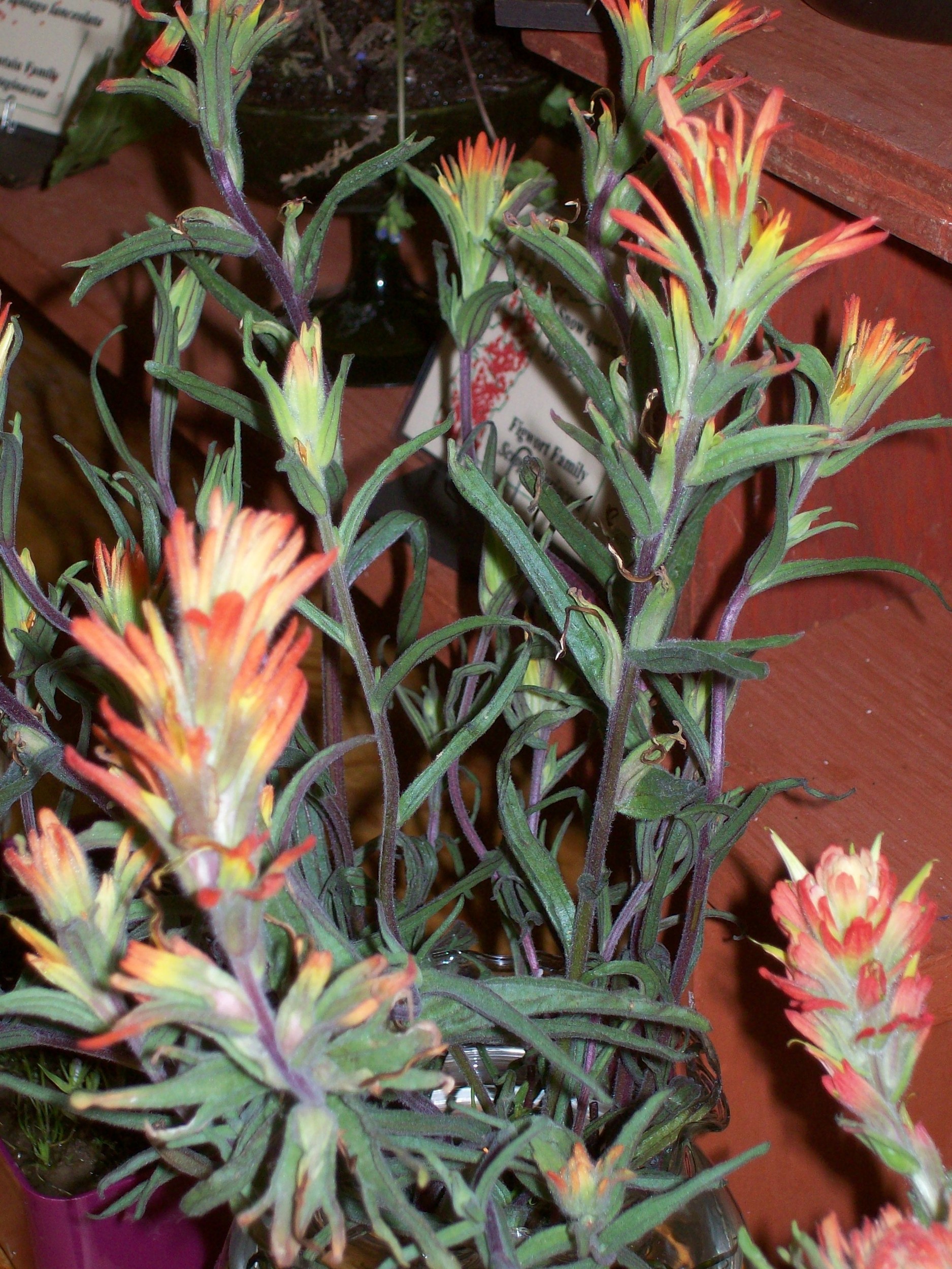 spring_09_391