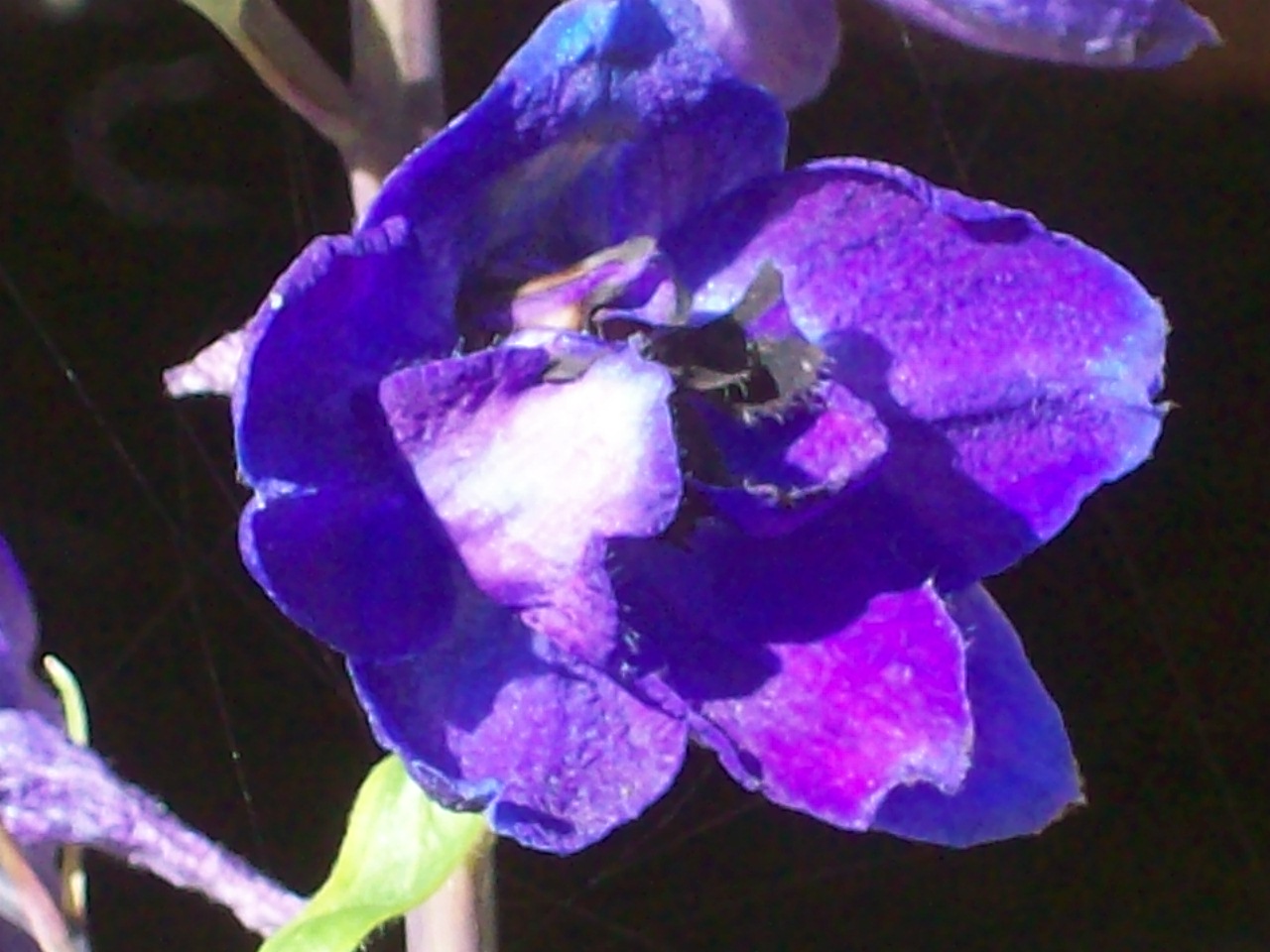 spring_09_983