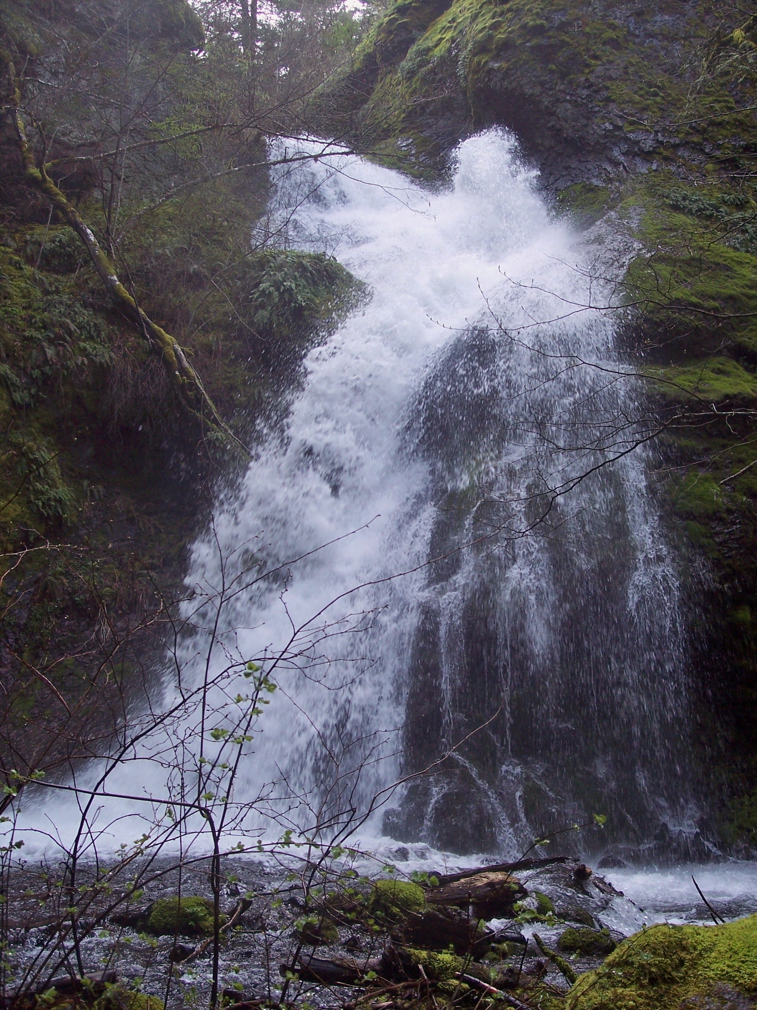 Springtime & Waterfalls