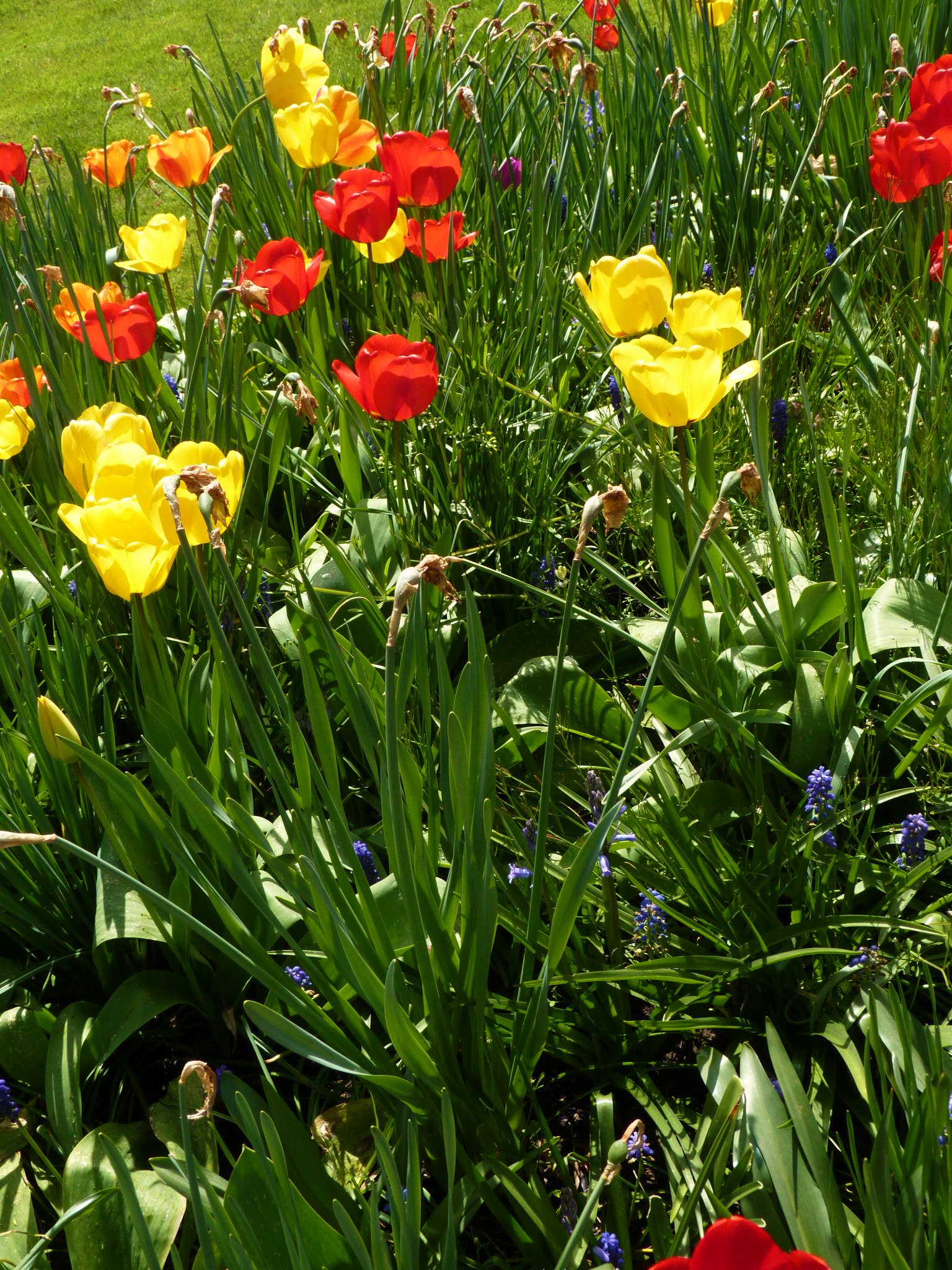 Springtime