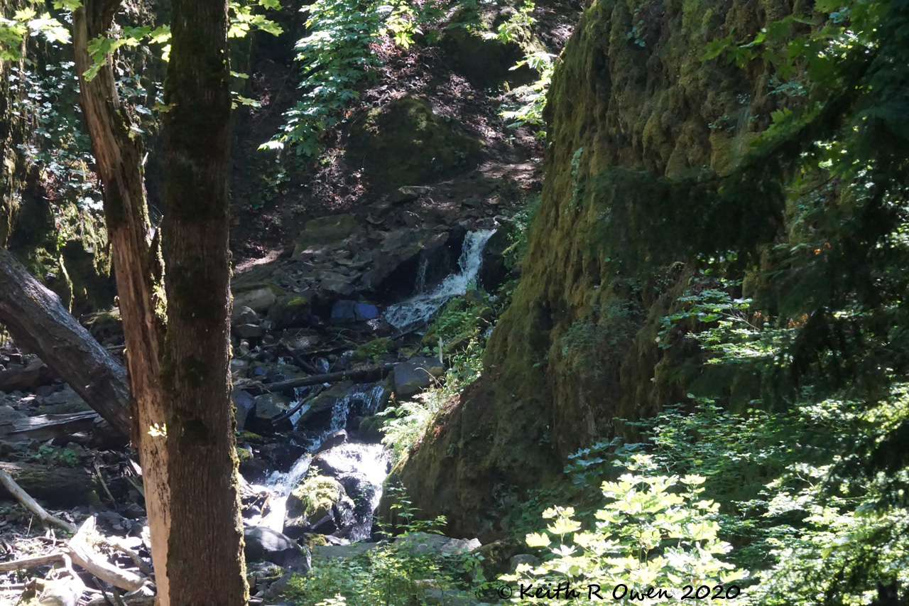 Starvation Creek Falls