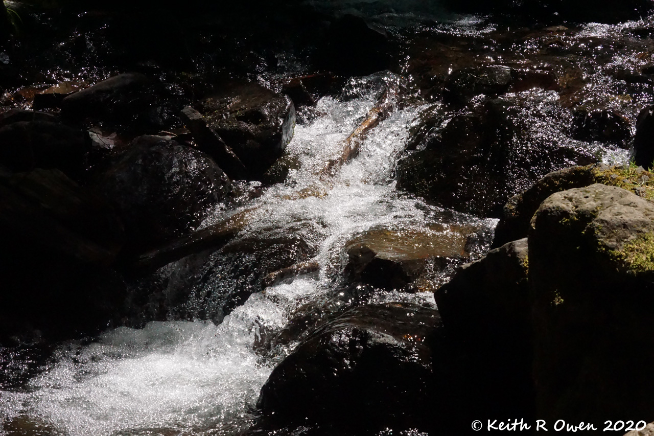 Starvation Creek Falls