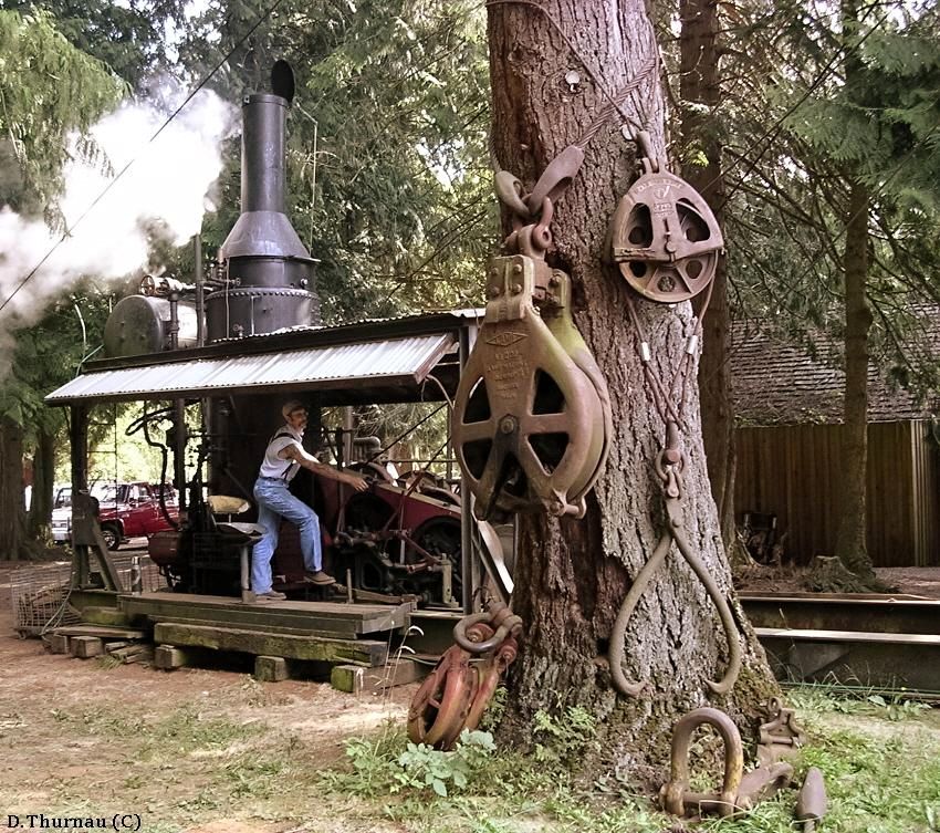 Steam Donkey