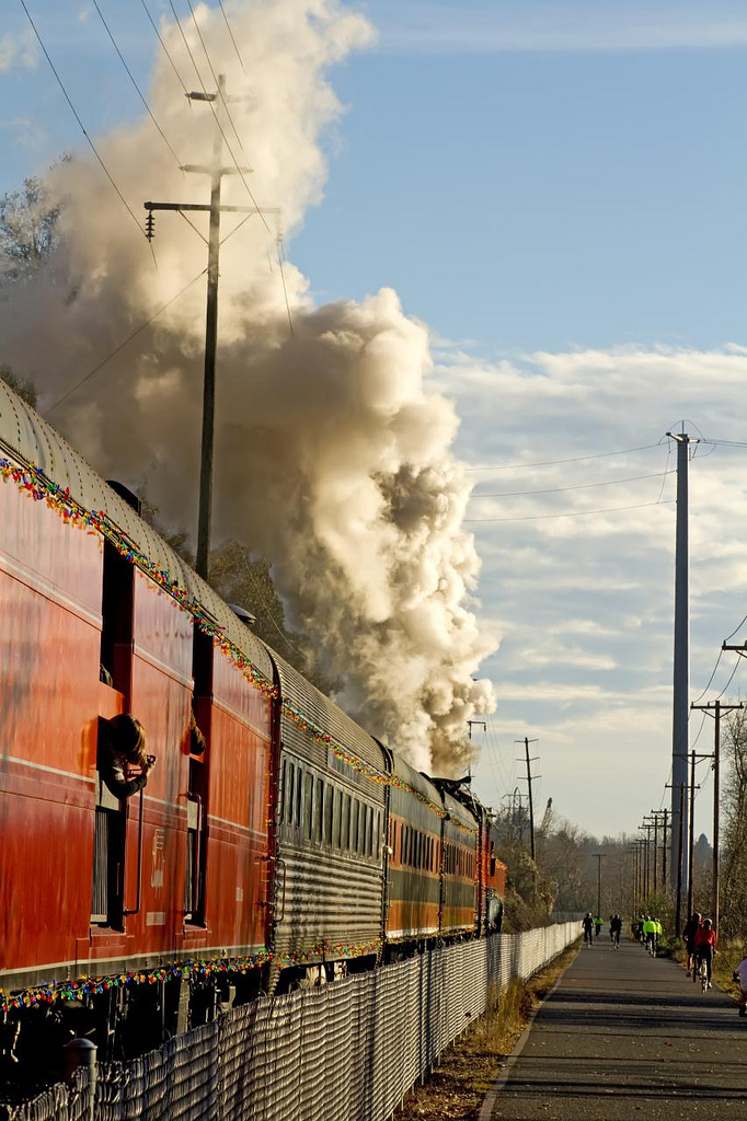 Steamed - 4449