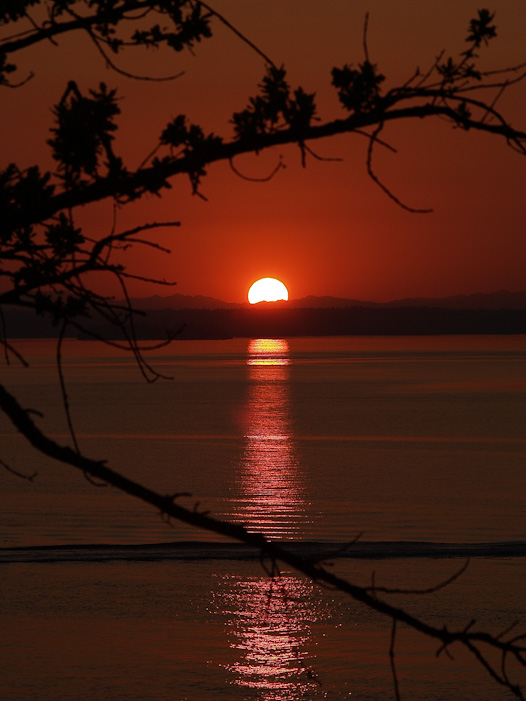 Steilacoom Sunset
