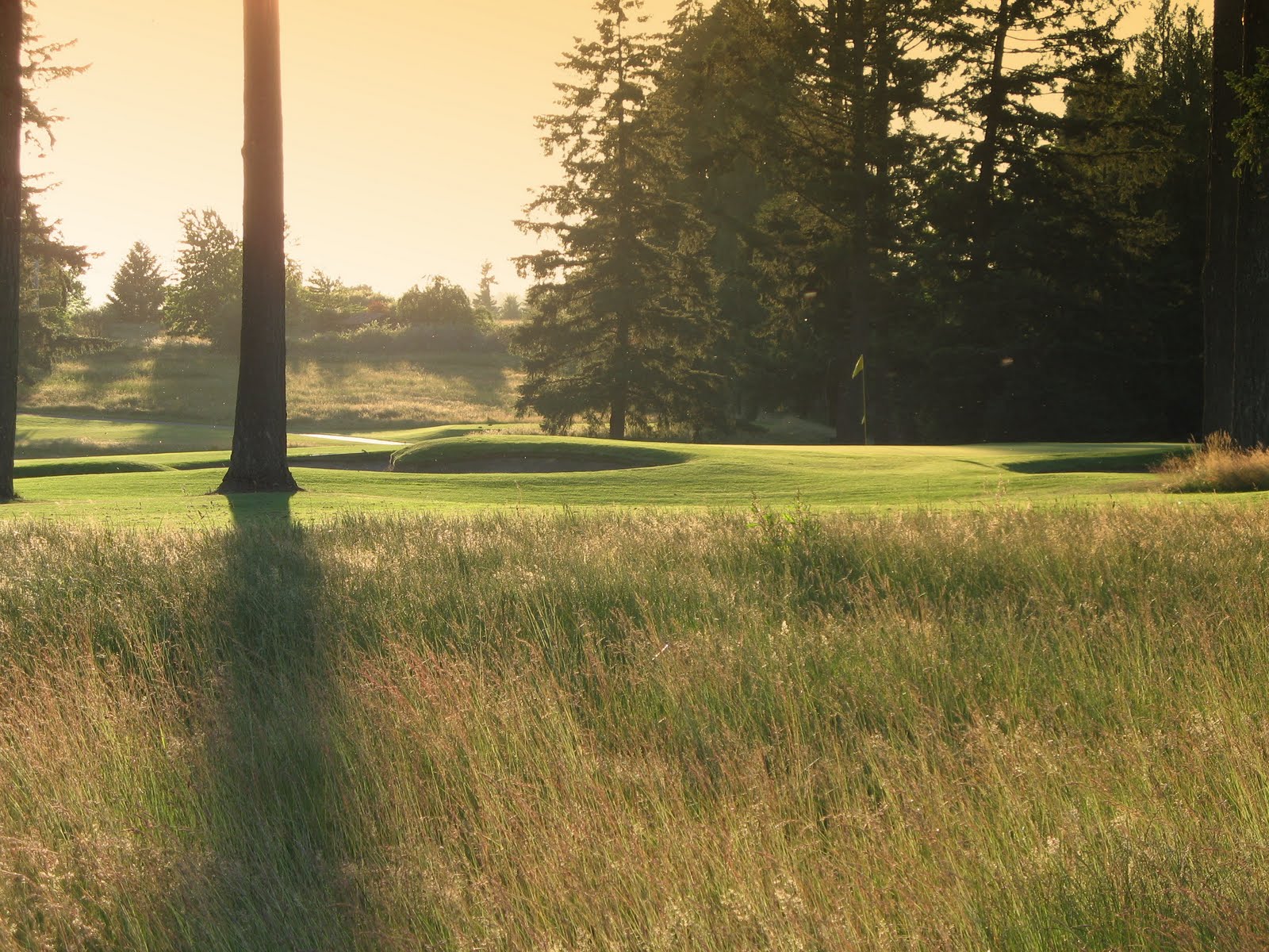 Stone Creek Golf Club
