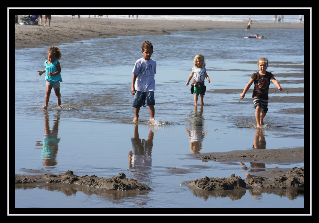 Summer Reflections