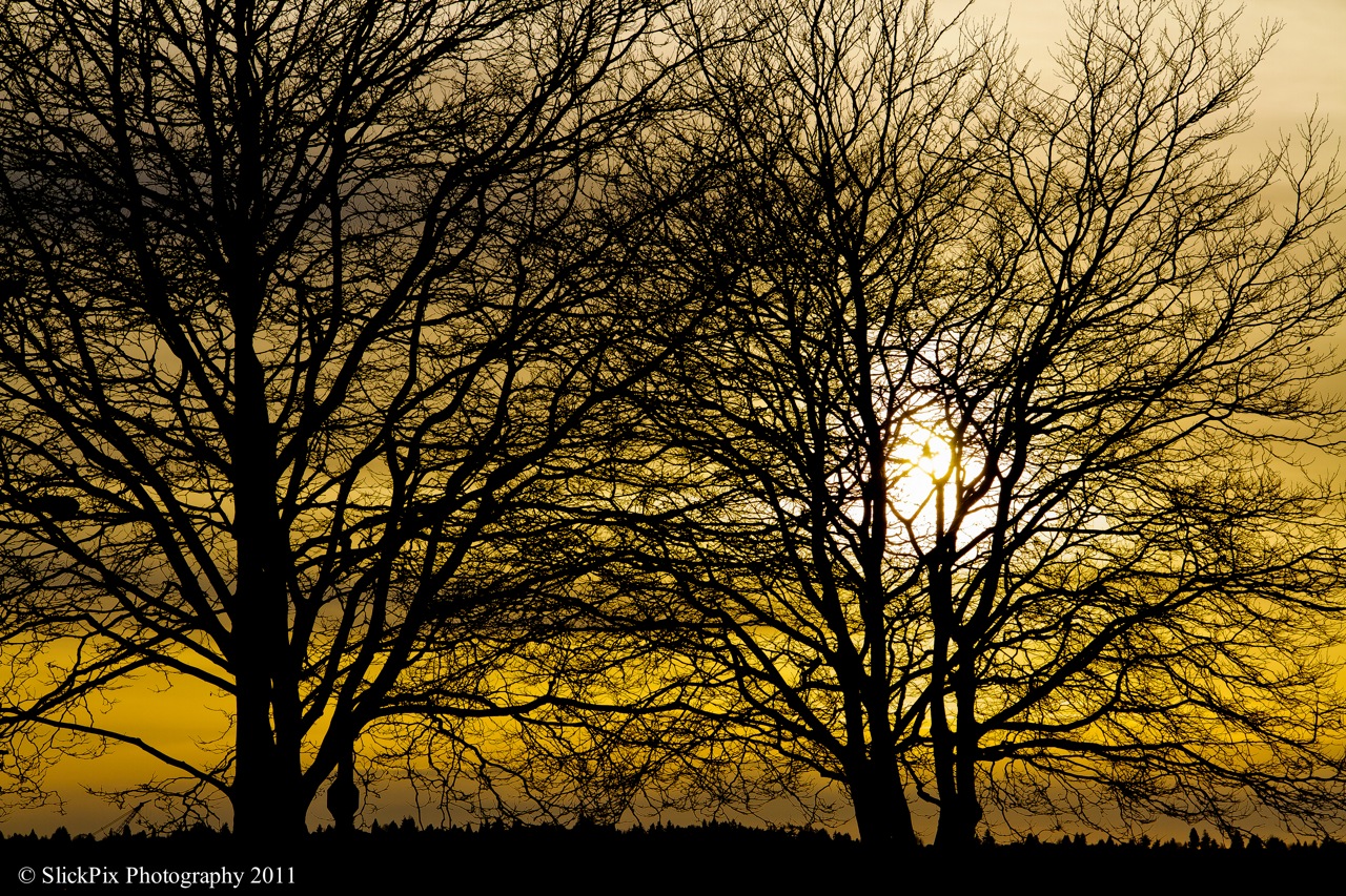 Summer sunset in February