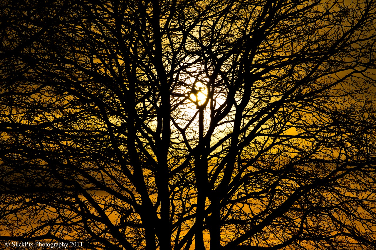 Summer sunset in February