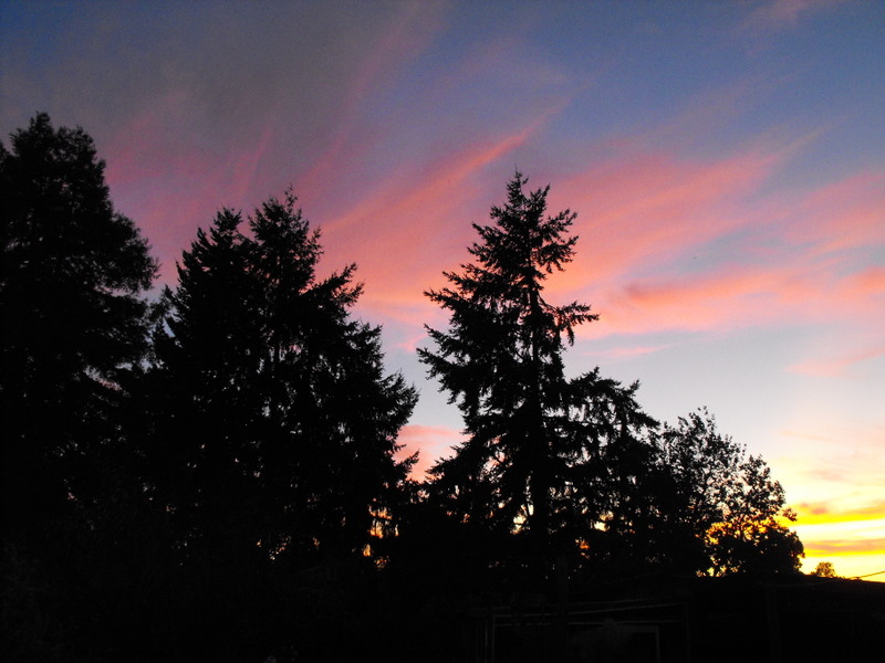 Summer Sunset