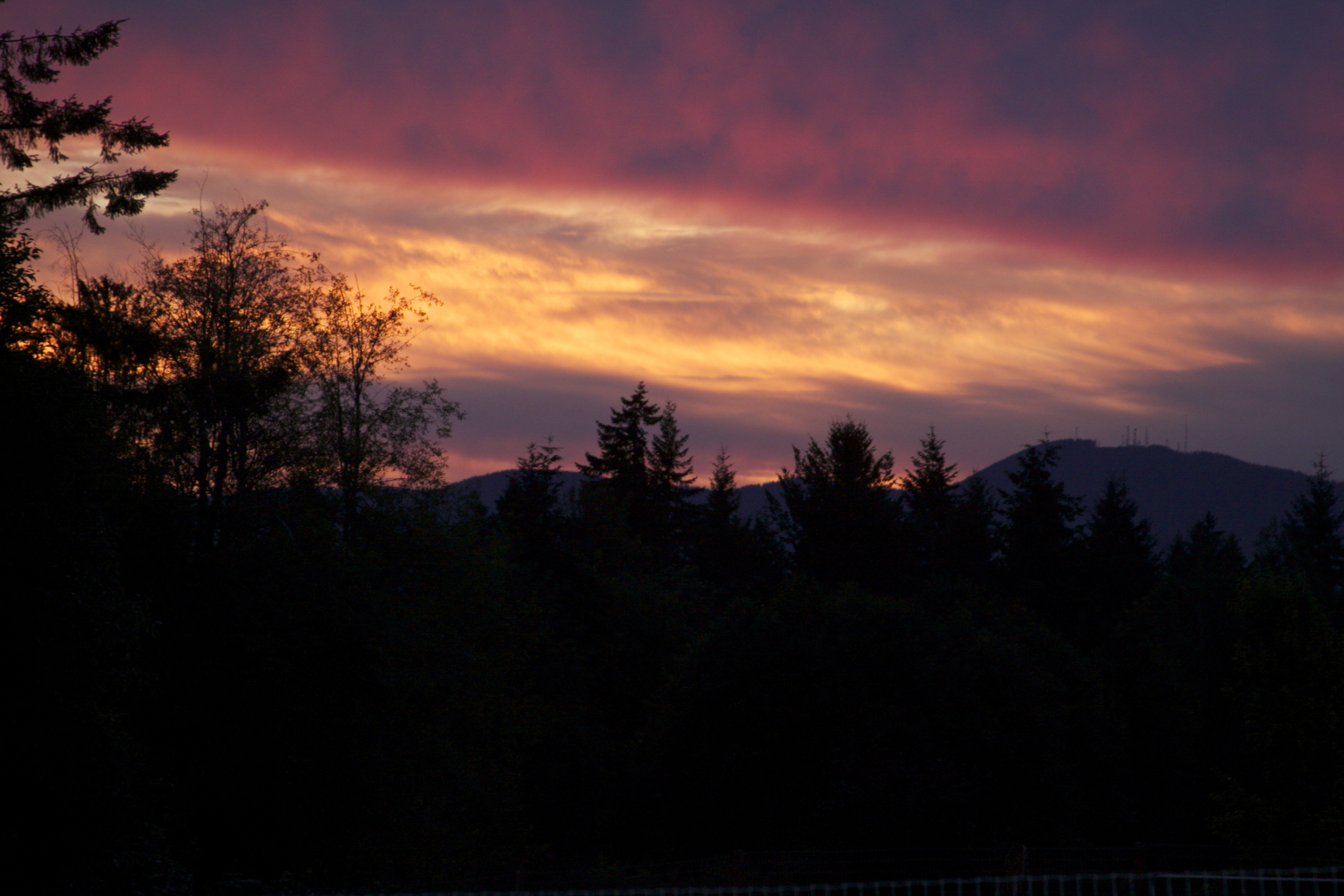 Summer sunset