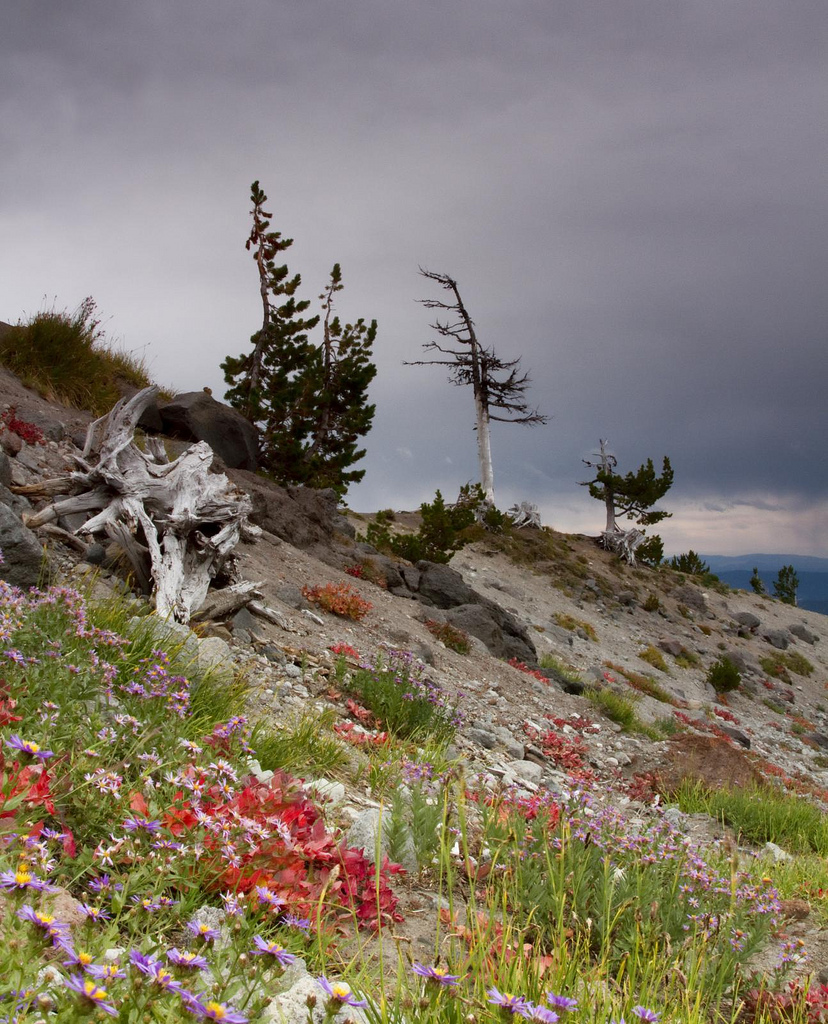 Summer turns to Fall on Mount Hood