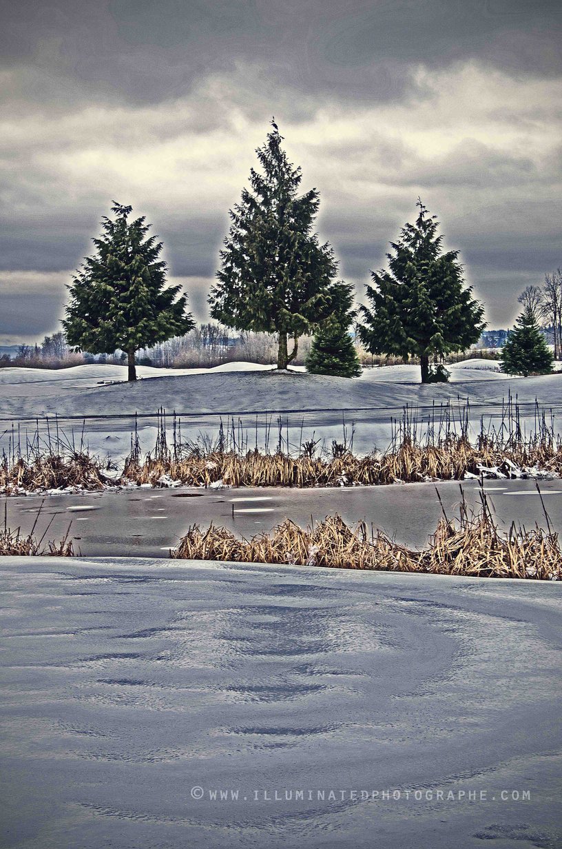 Sumner Meadows - WA