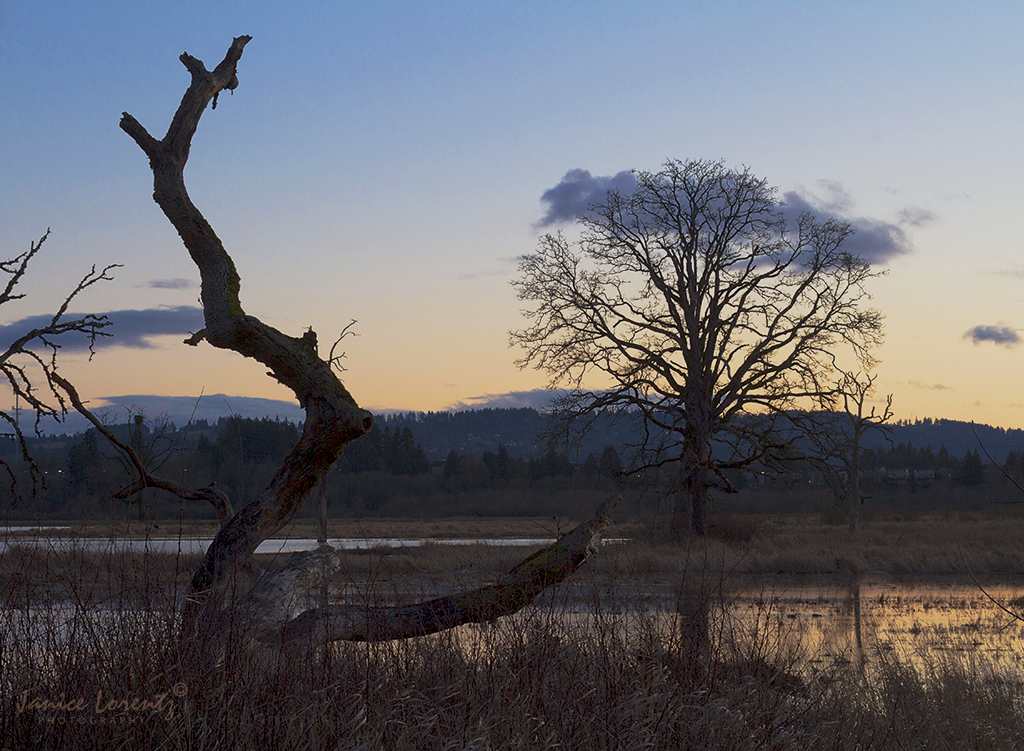 Sundown at the refuge.