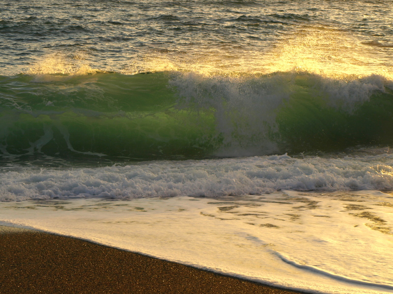 Sunlight through the wave