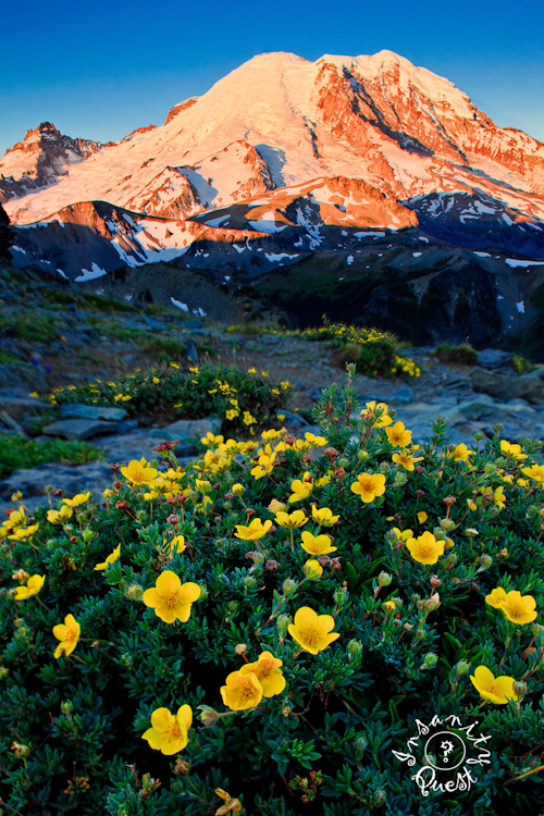 Sunrise at Freemont Lookout