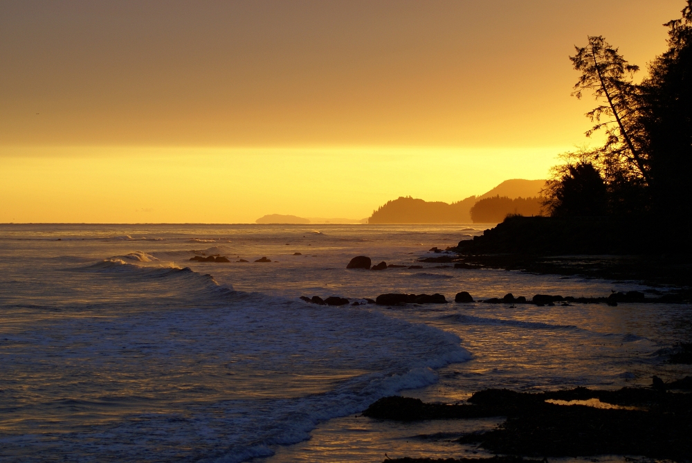 Sunrise in the mist