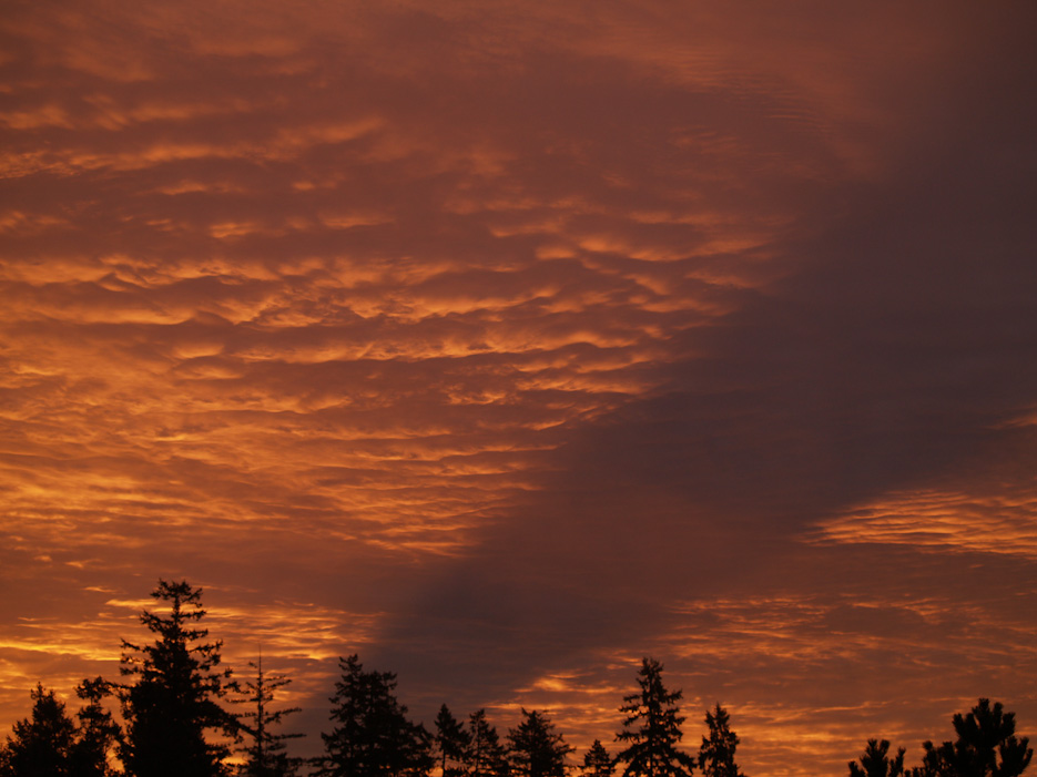 Sunrise Shadow