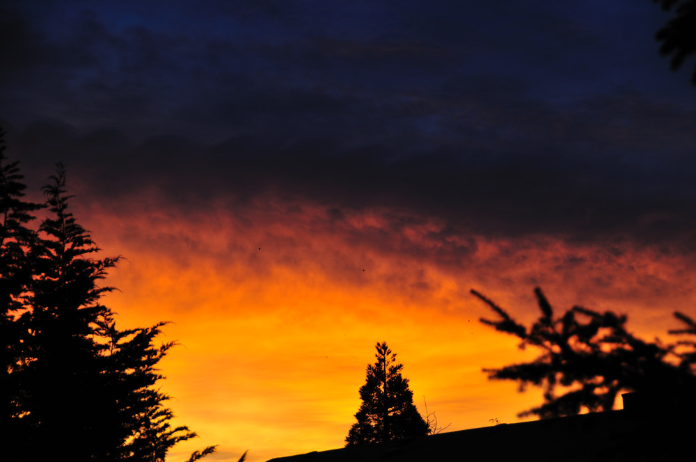 Sunrise
