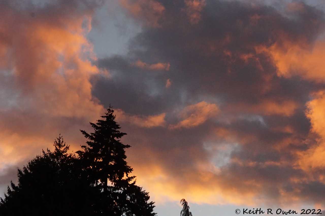 Sunset in Salem
