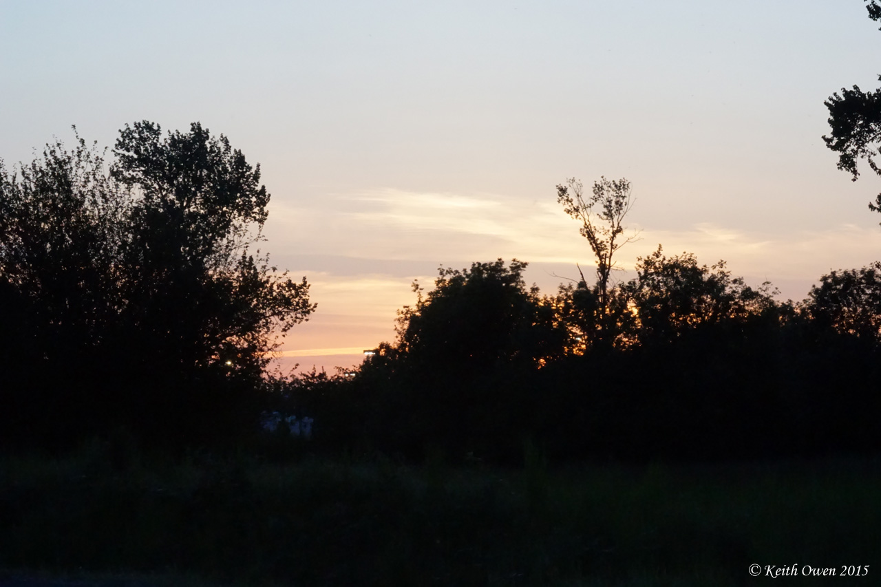Sunset Silhouette